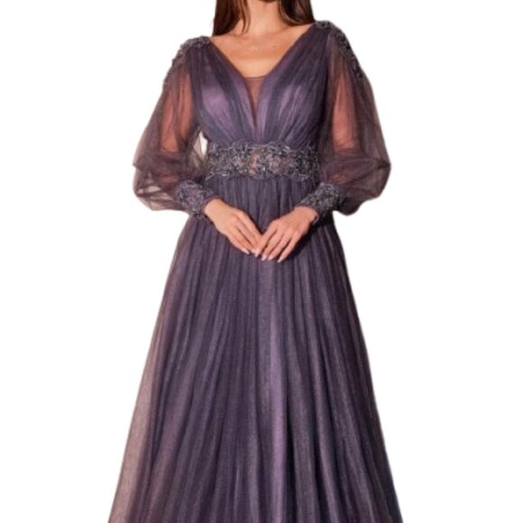 NWT Ladivine CD0938 Tulle Mother of the Bride Dress Eggplant 14 - Picture 1 of 6